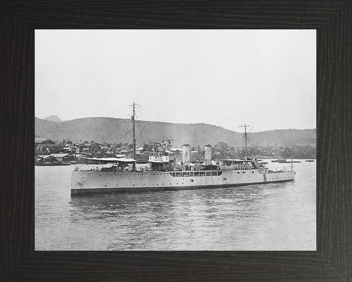 HMS Delphinium (1915) Royal Navy Arabis Class sloop Port Side View Photo Print Wall Art Posters, Prints, & Visual Artwork Hampshire Prints 10 x 8 Black Frame No