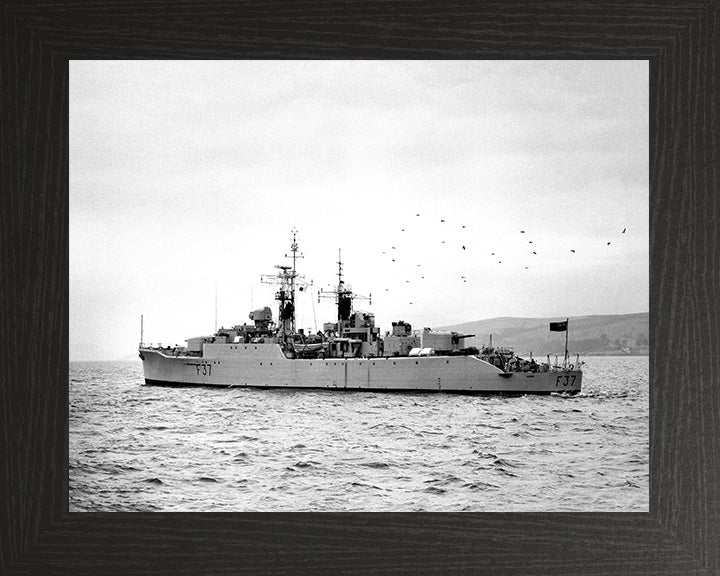 HMS Jaguar F37 Royal Navy Leopard class Frigate Photo Print or Framed Print - Hampshire Prints