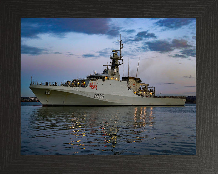HMS Tamar P233 | Photo Print | Framed Print | River Class | Patrol Vessel | Royal Navy Hampshire Prints