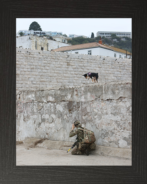 Royal Yeomanry Soldier on Exercise 2022 Photo Print - British Army