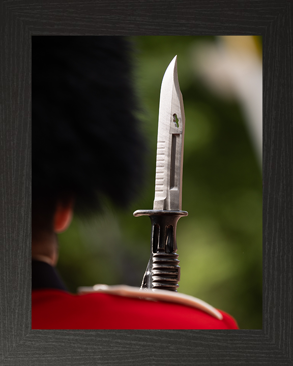 A Coldstream Guards Guardsman With Bayonet on Parade Photo Print - British Army Hampshire Prints 10 x 8 Black Frame No