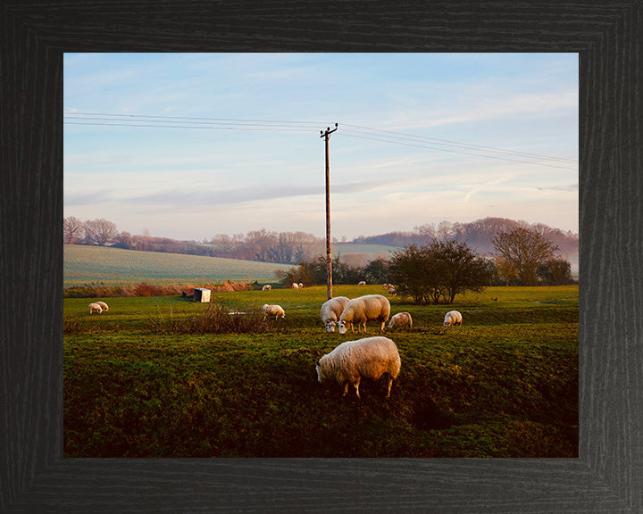 The North Essex Countryside Photo Print - Canvas - Framed Photo Print - Hampshire Prints
