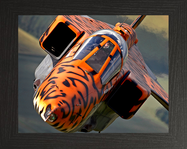 RAF Jaguar Final Flight with special Livery Photo Print - Royal Air Force Aircraft Posters, Prints, & Visual Artwork Hampshire Prints 10 x 8 Black Frame No