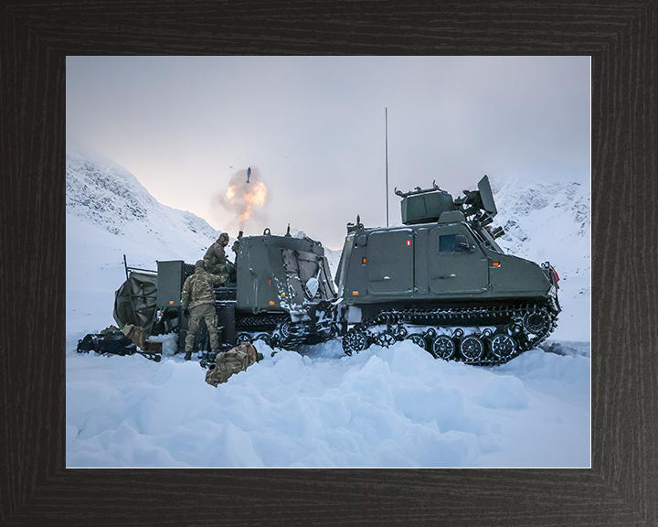 Royal Marine Commando Mortar Team Fire from a Viking Photo Print 45 Commando Marines Wall Art Military Decor Posters, Prints, & Visual Artwork Hampshire Prints 10 x 8 Black Frame No