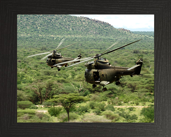 Two RAF Puma HC1 Helicopters in flight Photo Print - Royal Air Force Aircraft Hampshire Prints 10 x 8 Black Frame No