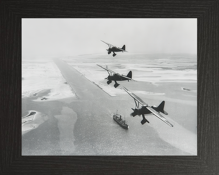 RAF Westland Lysanders over Suez canal 1940 Photo Print - Royal Air Force Aircraft Posters, Prints, & Visual Artwork Hampshire Prints 10 x 8 Black Frame No