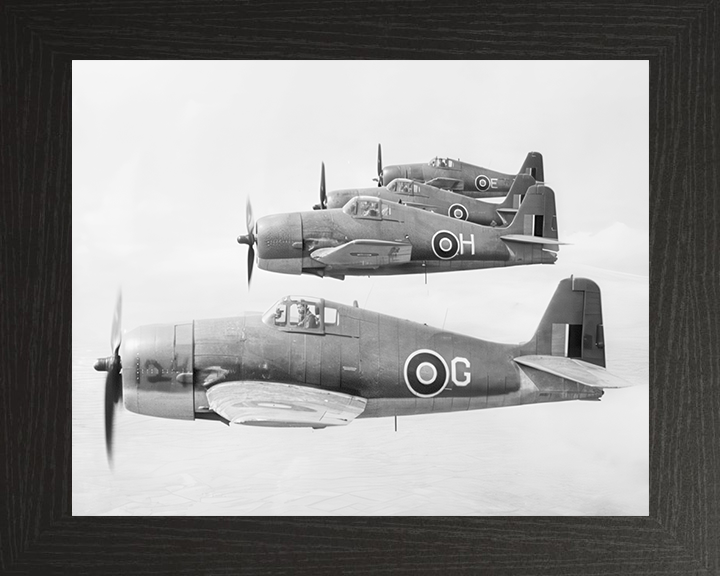 Four Grumman Hellcat F.I Fighters in Flight Photo Print - Royal Navy Aircraft Hampshire Prints 10 x 8 Black Frame No