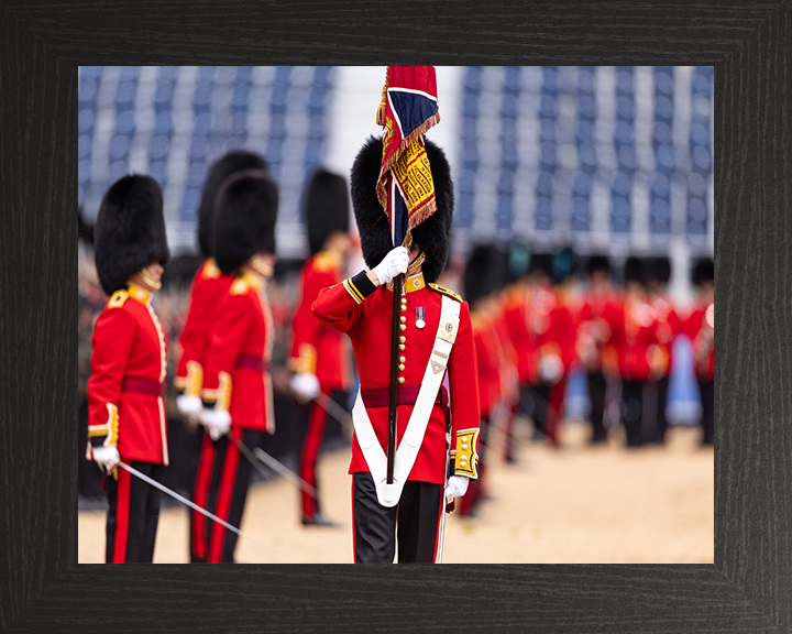 The Ensign of the Coldstream Guards Photo Print - British Army Hampshire Prints 10 x 8 Black Frame No