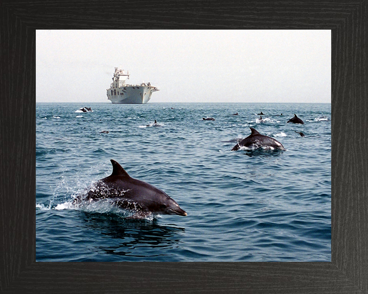 HMS Ocean (L12) Photo Print - With Dolphins 2003 - Royal Navy Landing Platform Helicopter Hampshire Prints 10 x 8 Black Frame No
