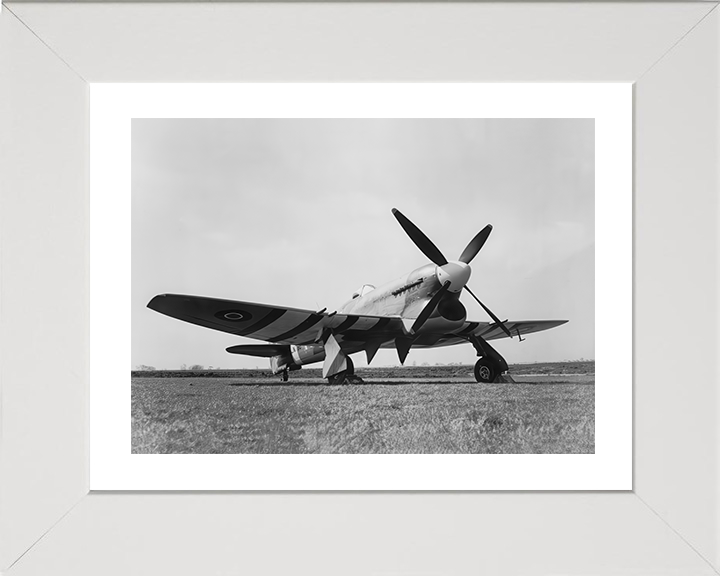 RAF Hawker Tempest V on the Ground Photo Print - Royal Air Force Aircraft Hampshire Prints 10 x 8 White Frame Yes