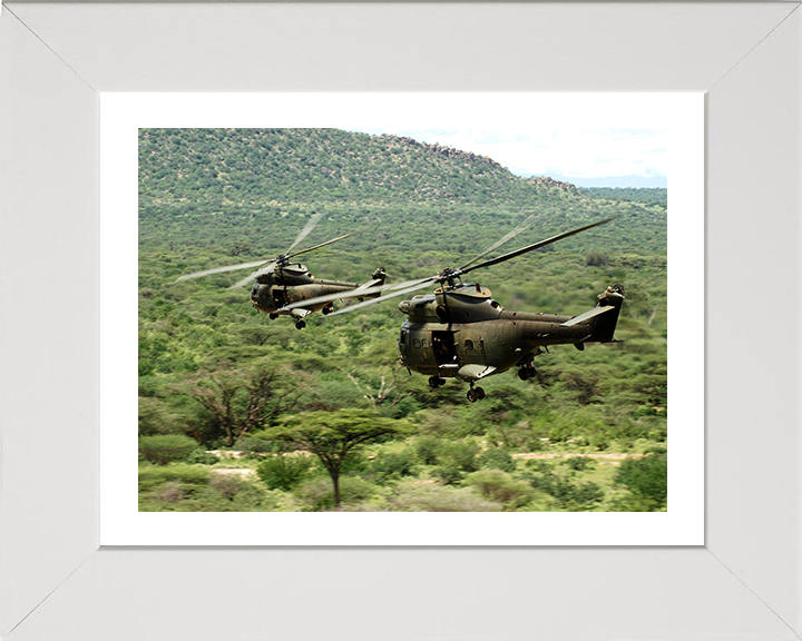 Two RAF Puma HC1 Helicopters in flight Photo Print - Royal Air Force Aircraft Hampshire Prints 10 x 8 White Frame Yes