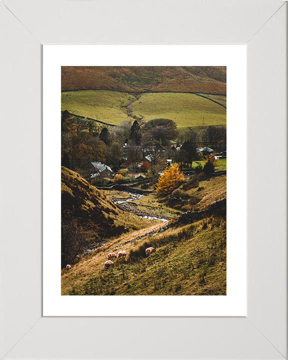 Dentdale The Yorkshire Dales in Autumn Photo Print - Canvas - Framed Photo Print - Hampshire Prints