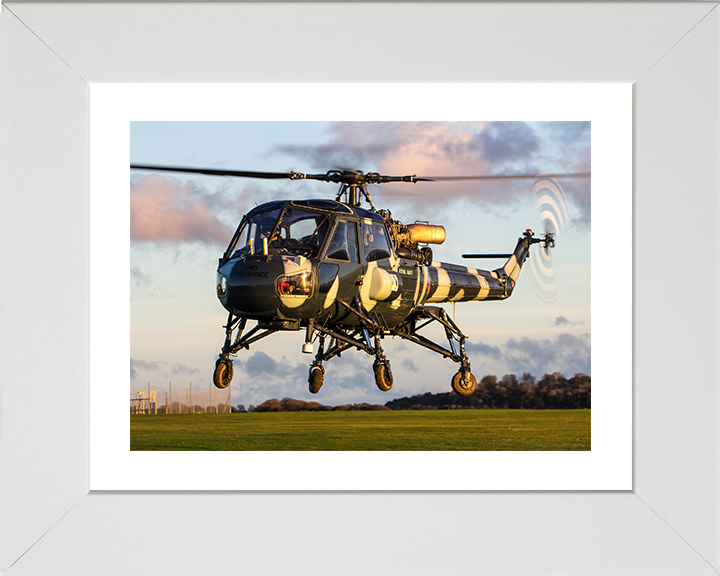 Westland Wasp HAS1 Helicopter in Flight at sunset 2015 Photo Print - Royal Navy Aircraft Posters, Prints, & Visual Artwork Hampshire Prints 10 x 8 White Frame Yes