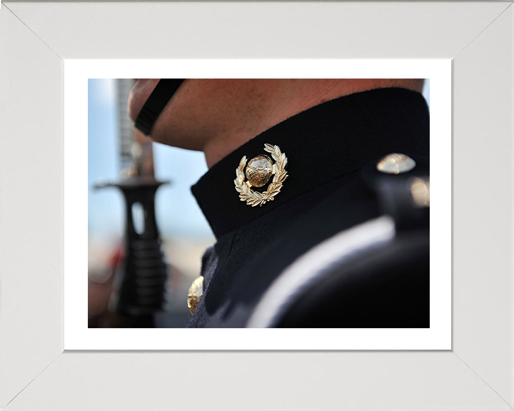 Royal Marine Commando number one uniform closeup Photo Print - Kings Squad Hampshire Prints 10 x 8 White Frame Yes
