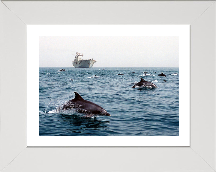 HMS Ocean (L12) Photo Print - With Dolphins 2003 - Royal Navy Landing Platform Helicopter Hampshire Prints 10 x 8 White Frame Yes