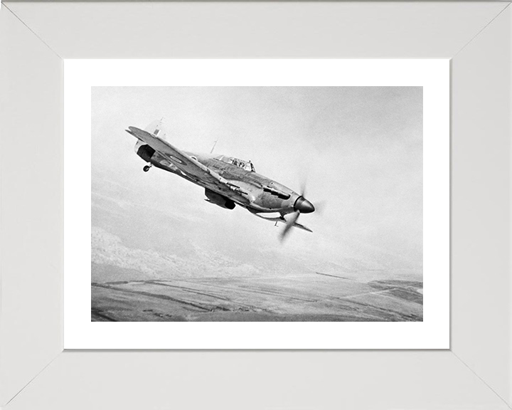 RAF Hawker Hurricane Mark IIC in Flight 1945 Photo Print - Royal Air Force Aircraft Posters, Prints, & Visual Artwork Hampshire Prints 10 x 8 White Frame Yes