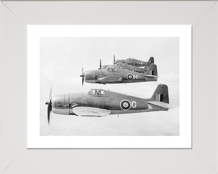 Four Grumman Hellcat F.I Fighters in Flight Photo Print - Royal Navy Aircraft Hampshire Prints 10 x 8 White Frame Yes