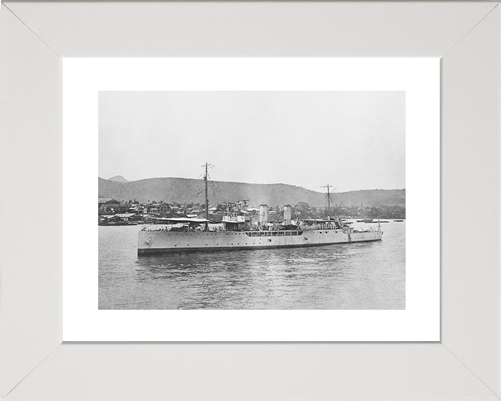 HMS Delphinium (1915) Royal Navy Arabis Class sloop Port Side View Photo Print Wall Art Posters, Prints, & Visual Artwork Hampshire Prints 10 x 8 White Frame Yes