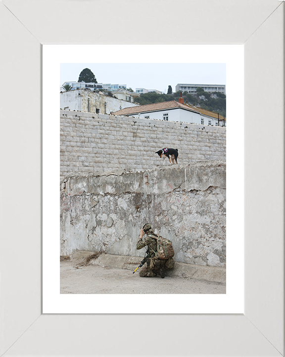 Royal Yeomanry Soldier on Exercise 2022 Photo Print - British Army