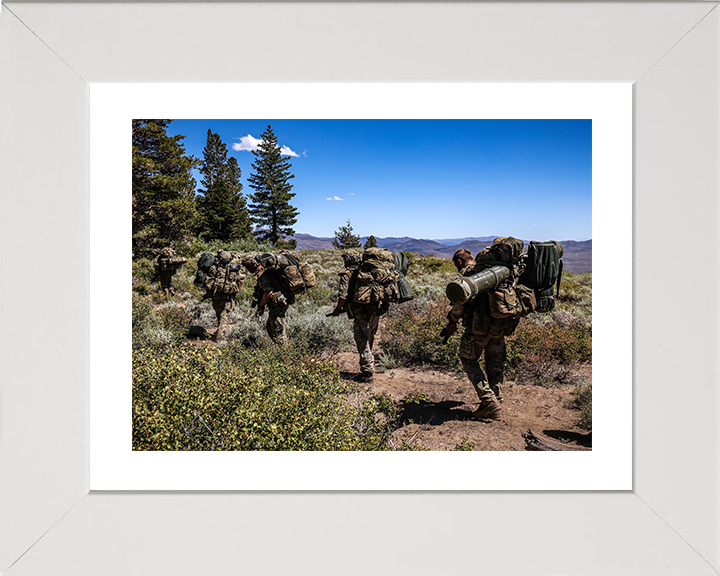 29 Commando Royal Artillery on Patrol Photo Print - British Army