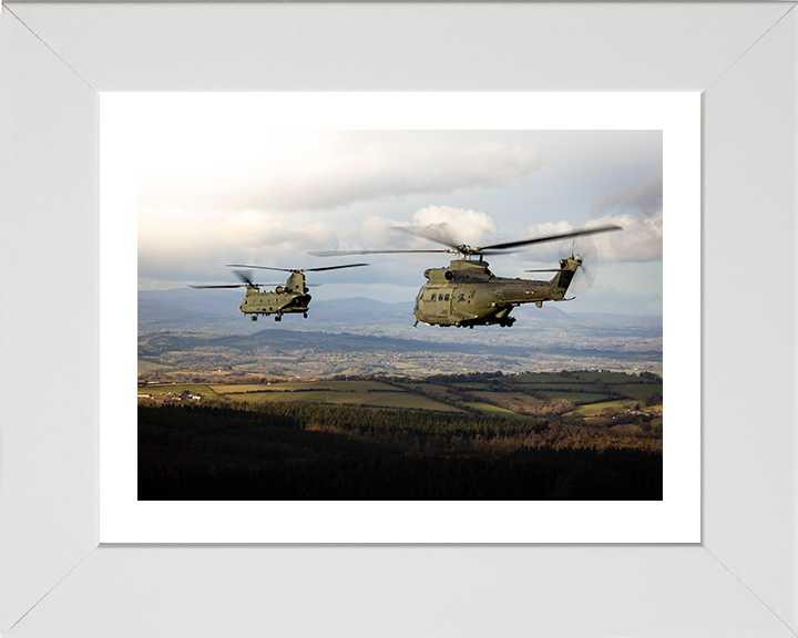 RAF Chinook and Puma HC Mk2 Helicopters Photo Print - Royal Air Force Aircraft Hampshire Prints 10 x 8 White Frame Yes