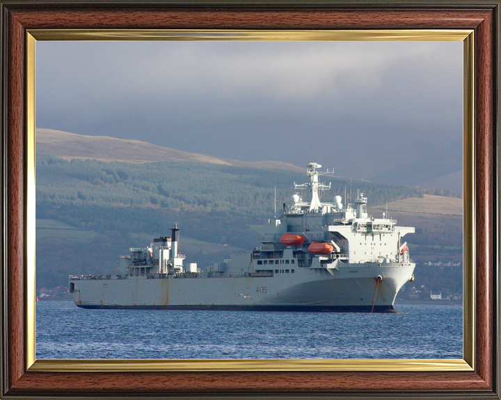 RFA Argus A135 Casualty Class Ship 2022