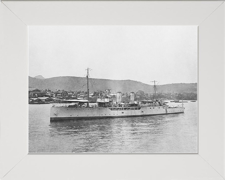 HMS Delphinium (1915) Royal Navy Arabis Class sloop Port Side View Photo Print Wall Art Posters, Prints, & Visual Artwork Hampshire Prints 10 x 8 White Frame No