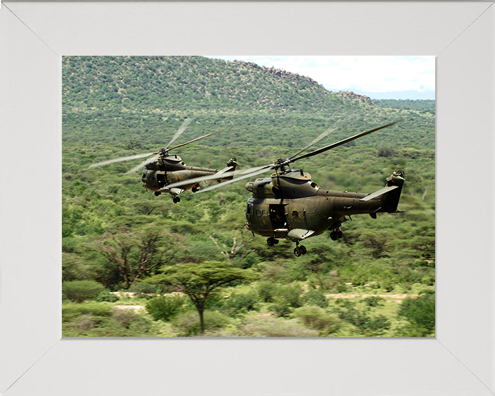 Two RAF Puma HC1 Helicopters in flight Photo Print - Royal Air Force Aircraft Hampshire Prints 10 x 8 White Frame No