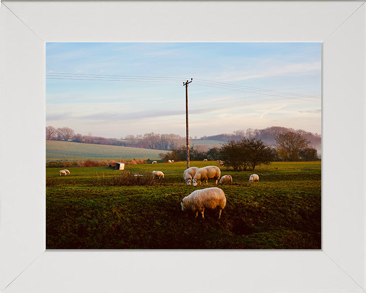 The North Essex Countryside Photo Print - Canvas - Framed Photo Print - Hampshire Prints