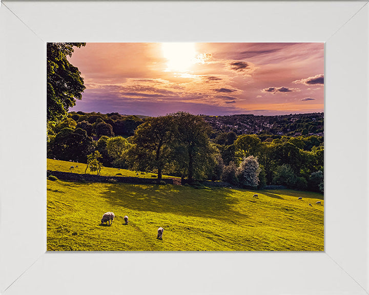 Porter Valley Sheffield Yorkshire at sunset Photo Print - Canvas - Framed Photo Print - Hampshire Prints