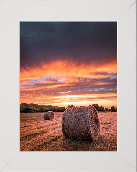 Hay bales at sunset in Hampshire Photo Print - Canvas - Framed Photo Print - Hampshire Prints
