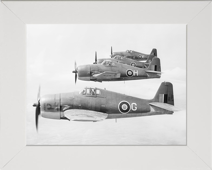 Four Grumman Hellcat F.I Fighters in Flight Photo Print - Royal Navy Aircraft Hampshire Prints 10 x 8 White Frame No