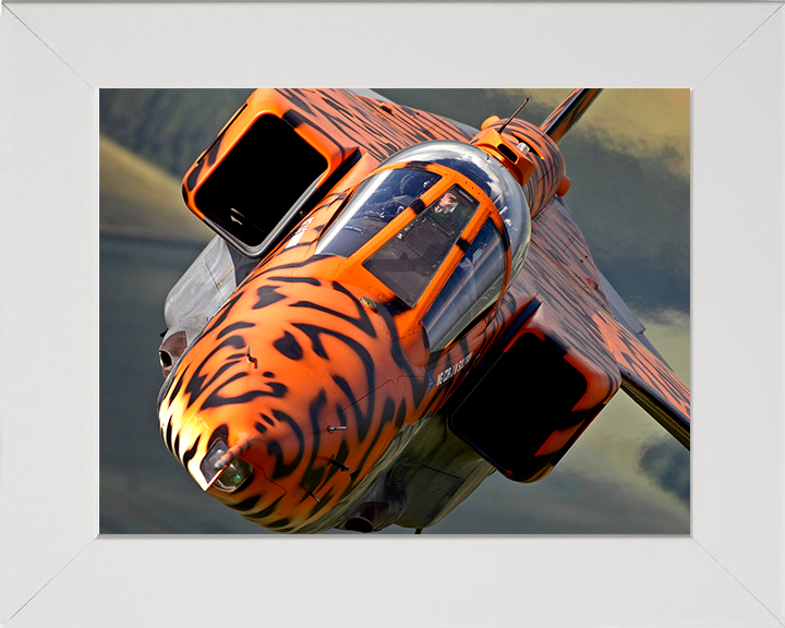 RAF Jaguar Final Flight with special Livery Photo Print - Royal Air Force Aircraft Posters, Prints, & Visual Artwork Hampshire Prints 10 x 8 White Frame No
