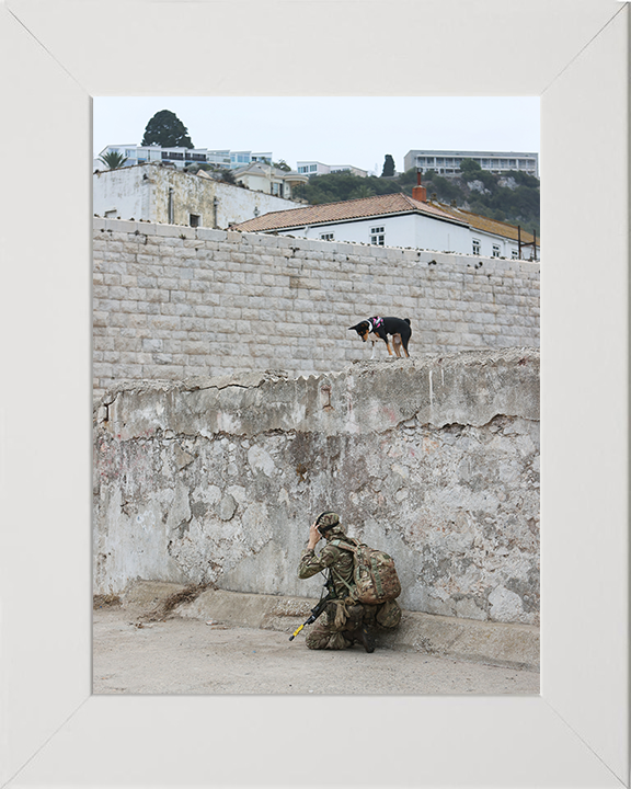 Royal Yeomanry Soldier on Exercise 2022 Photo Print - British Army