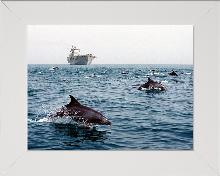 HMS Ocean (L12) Photo Print - With Dolphins 2003 - Royal Navy Landing Platform Helicopter Hampshire Prints 10 x 8 White Frame No