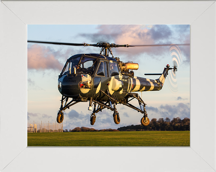 Westland Wasp HAS1 Helicopter in Flight at sunset 2015 Photo Print - Royal Navy Aircraft Posters, Prints, & Visual Artwork Hampshire Prints 10 x 8 White Frame No