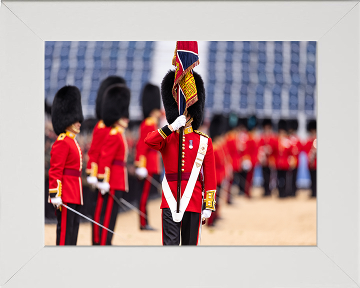 The Ensign of the Coldstream Guards Photo Print - British Army Hampshire Prints 10 x 8 White Frame No