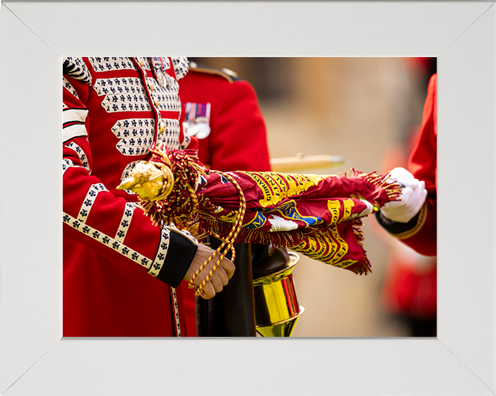Coldstream Guards colour is unveiled Photo Print - British Army Hampshire Prints 10 x 8 White Frame No