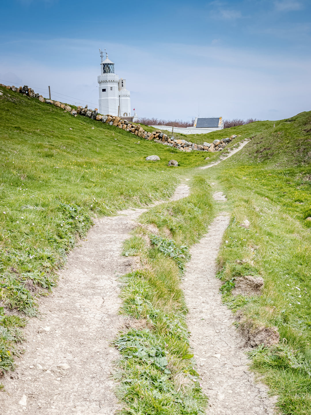 St Catherines lighthouse in spring Photo Print - Canvas - Framed Photo Print - Hampshire Prints