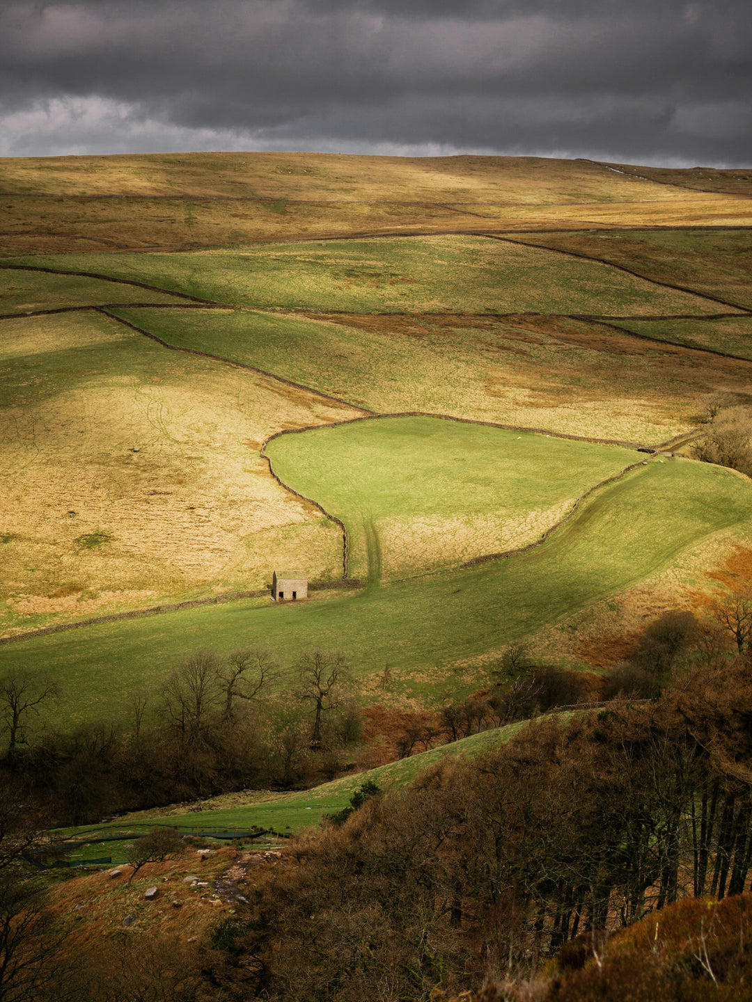 The Green hills of the Yorkshire Dales Photo Print - Canvas - Framed Photo Print - Hampshire Prints