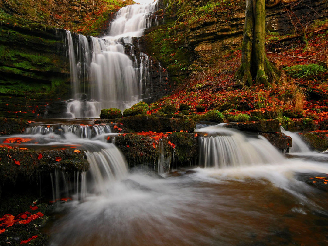 Scaleber Force Waterfall Yorkshire in Autumn Photo Print - Canvas - Framed Photo Print - Hampshire Prints