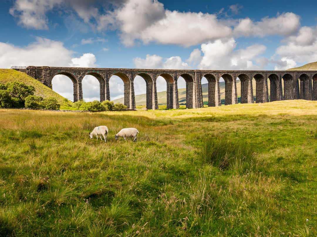 The Ribblehead Viaduct North Yorkshire in summer Photo Print - Canvas - Framed Photo Print - Hampshire Prints