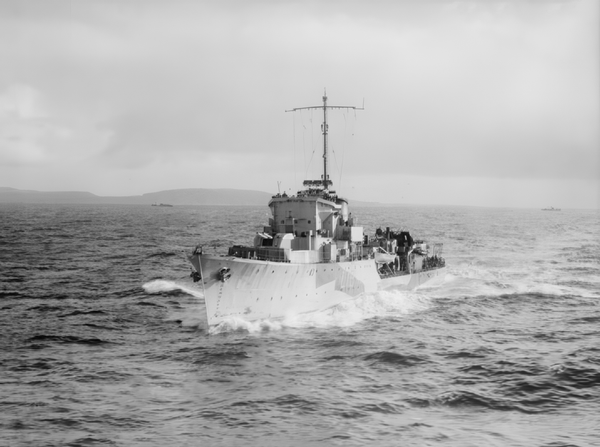 HMS Haldon L19 Hunt Class Destroyer 1939 to 1945