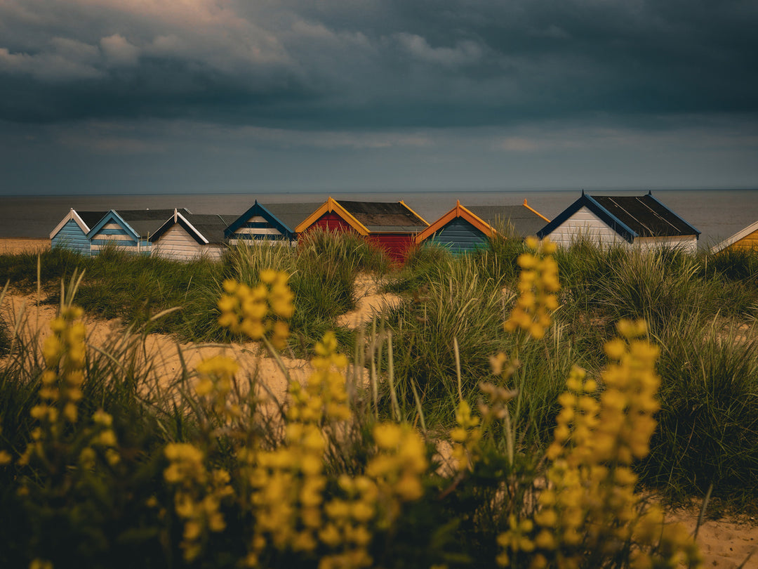 Beach huts at Southwold Beach Suffolk Photo Print - Canvas - Framed Photo Print - Hampshire Prints