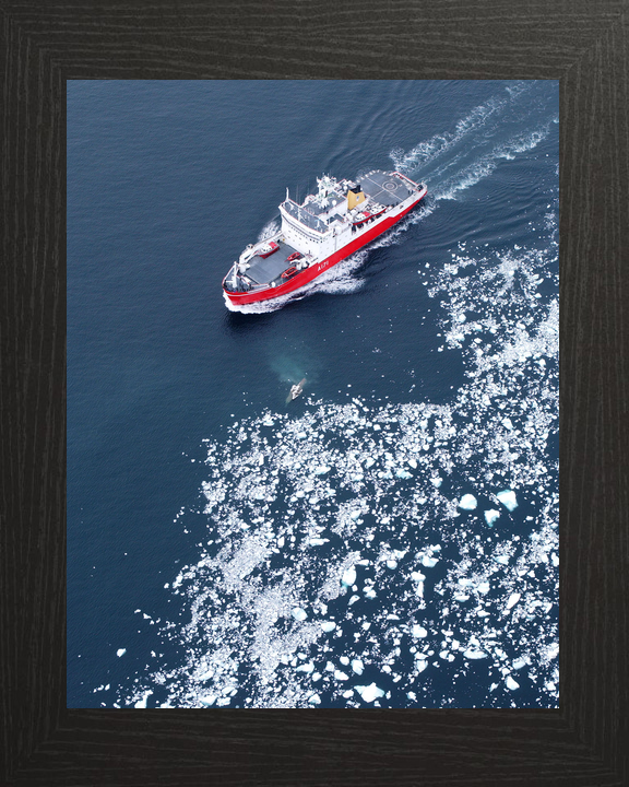 HMS Endurance (A171) Royal Navy Ice Breaker Patrol Ship Antarctic Ice Fields 2005 Photo Print Wall Art Decor - Posters, Prints, & Visual Artwork - by Hampshire Prints (image 3 of 9)