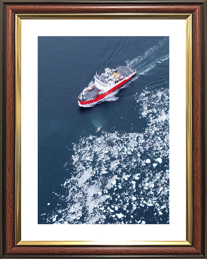 HMS Endurance (A171) Royal Navy Ice Breaker Patrol Ship Antarctic Ice Fields 2005 Photo Print Wall Art Decor - Posters, Prints, & Visual Artwork - by Hampshire Prints (image 8 of 9)