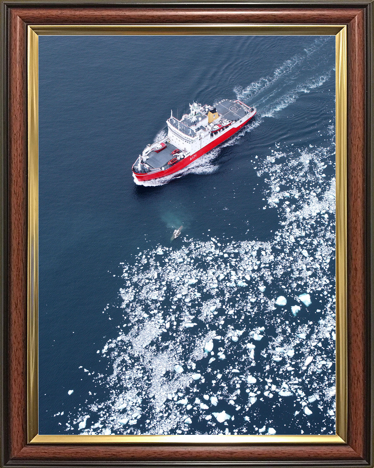 HMS Endurance (A171) Royal Navy Ice Breaker Patrol Ship Antarctic Ice Fields 2005 Photo Print Wall Art Decor - Posters, Prints, & Visual Artwork - by Hampshire Prints (image 9 of 9)