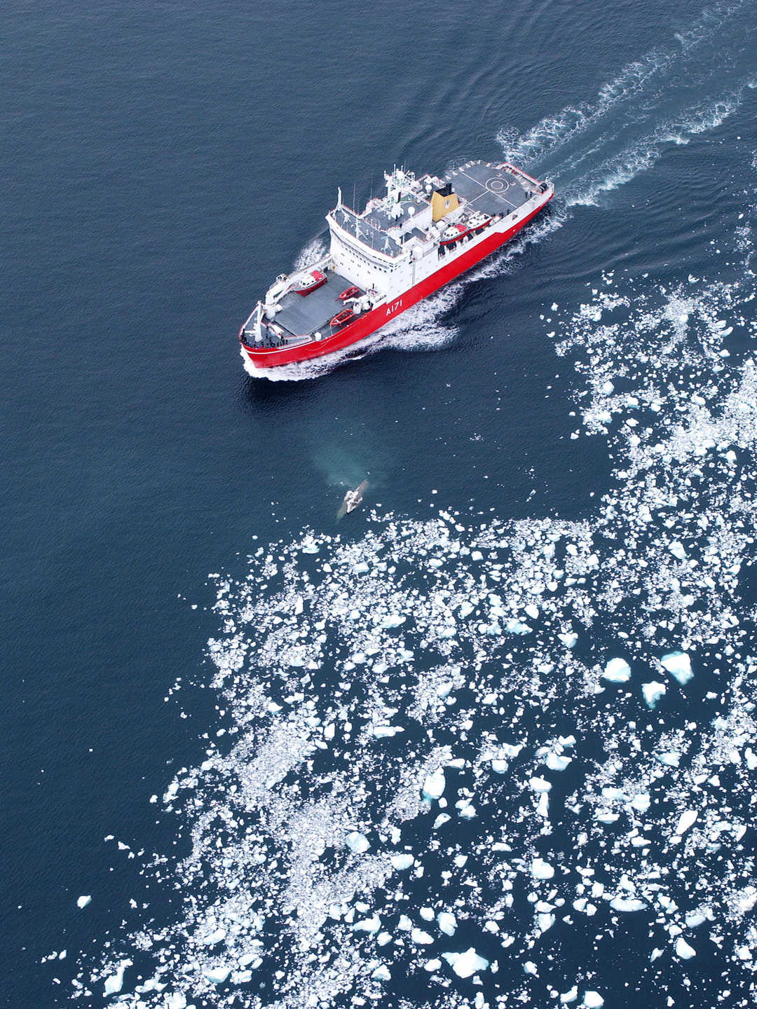 HMS Endurance (A171) Photo Print - Antarctic Ice Fields 2005 - Royal Navy Ice Breaker Patrol Ship Hampshire Prints 6 x 4 No Frame No