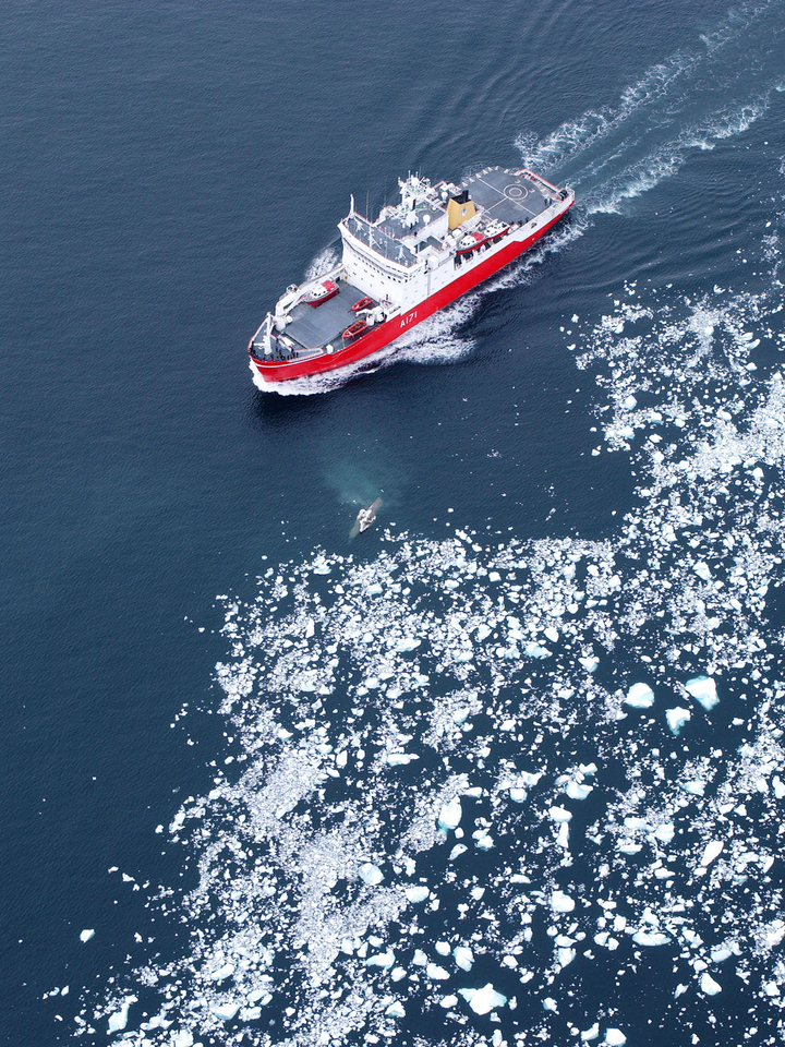 HMS Endurance (A171) Photo Print - Antarctic Ice Fields 2005 - Royal Navy Ice Breaker Patrol Ship Hampshire Prints 6 x 4 No Frame No