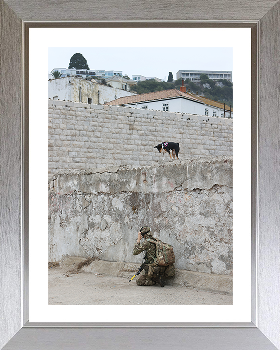 Royal Yeomanry Soldier on Exercise 2022 Photo Print - British Army